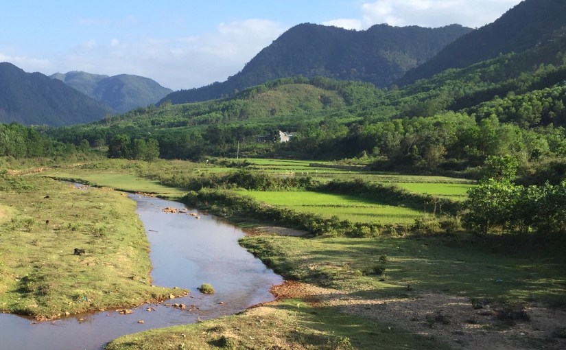 From Hamburgers to Noodle&nbsp;Soup