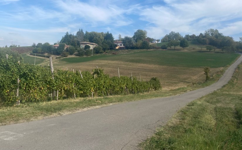 A Path less&nbsp;Travelled